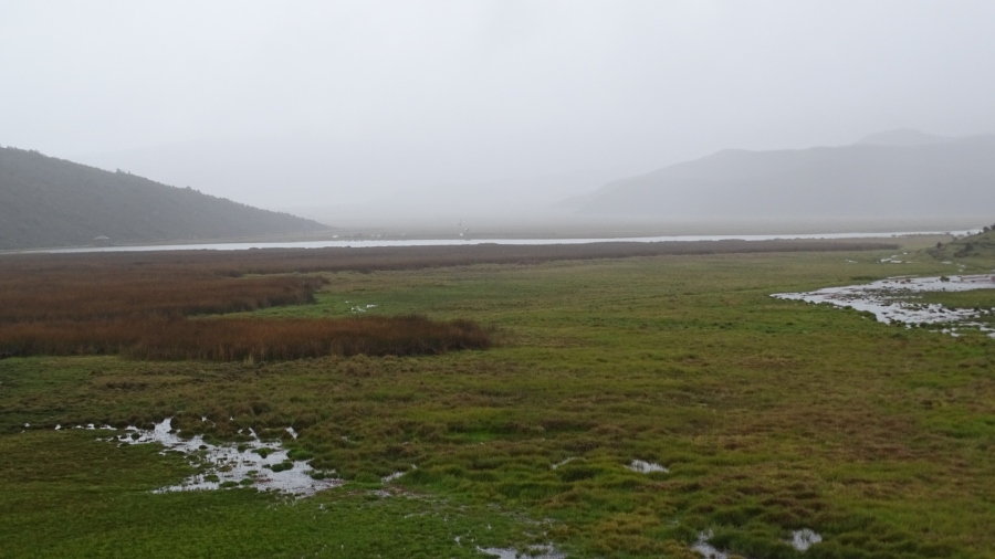 DSC05786.jpg