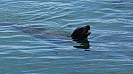DSC07362.jpg