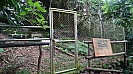 DSC07533.jpg