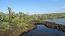 DSC07761.jpg