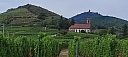 IMG_20220814_133331.jpg