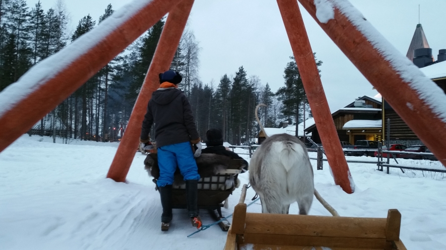 20160102_110224.jpg