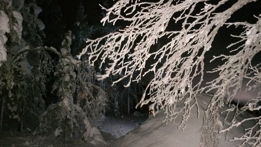 20160102_200350.jpg