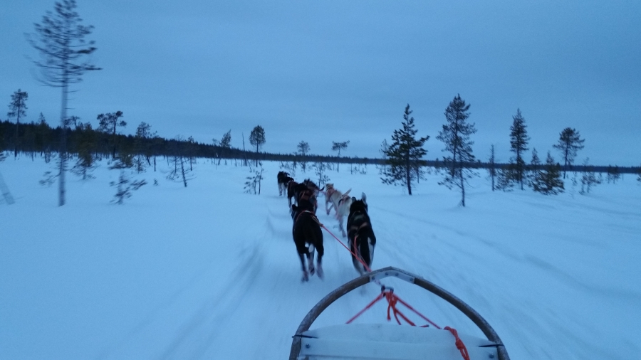 20160103_125415.jpg