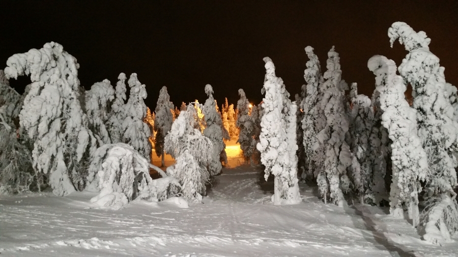 20160103_164531.jpg