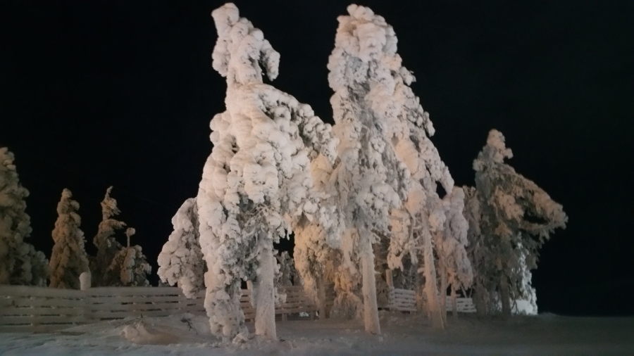 20160103_172530.jpg