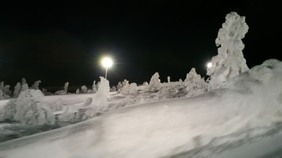 20160103_173150.jpg