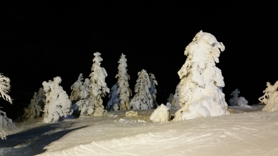 20160103_174050.jpg