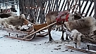 20160102_105244.jpg