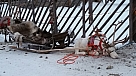 20160102_105316.jpg