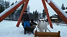 20160102_110224.jpg