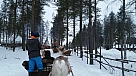 20160102_110252.jpg