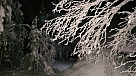 20160102_200350.jpg