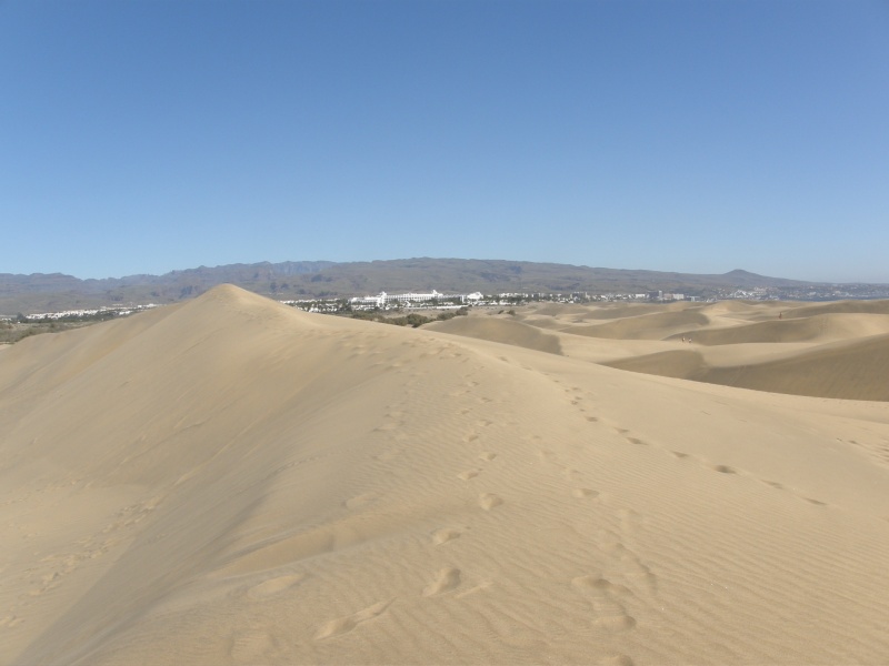 P2260090.jpg
