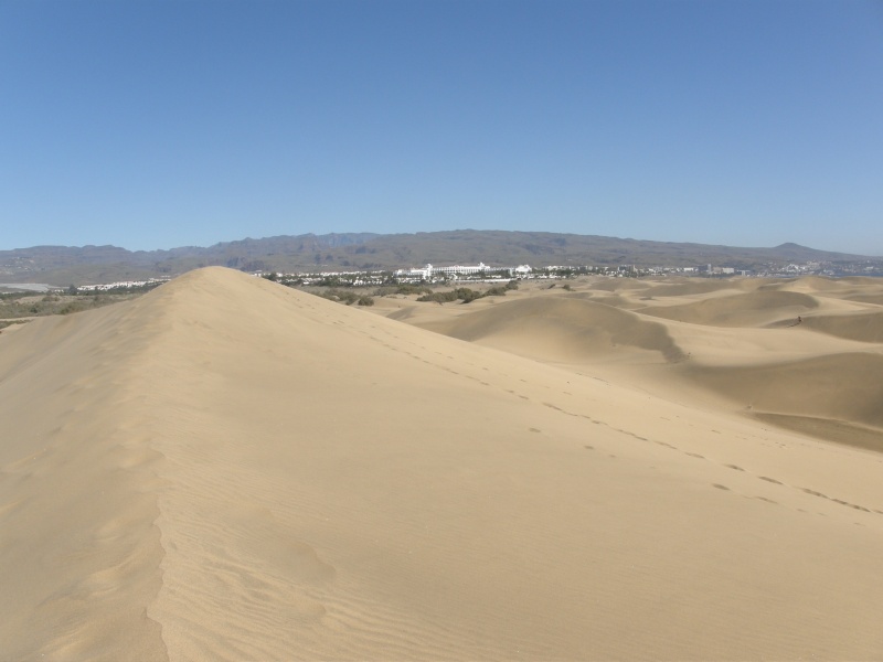 P2260092.jpg