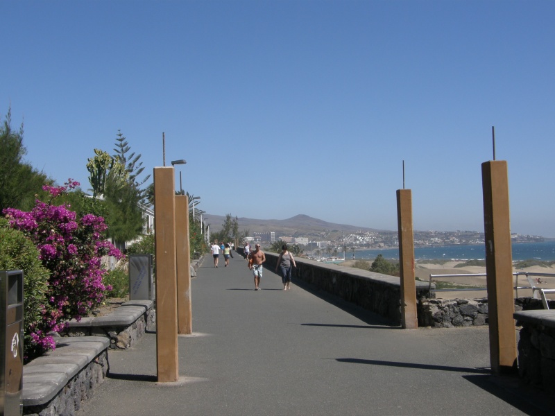P2260130.jpg