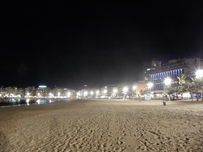 P3041008.jpg