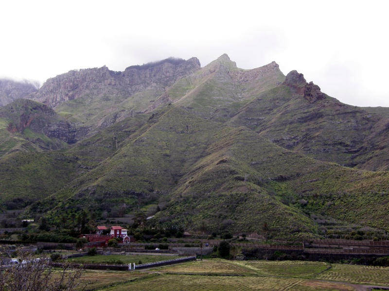 P3051157.jpg