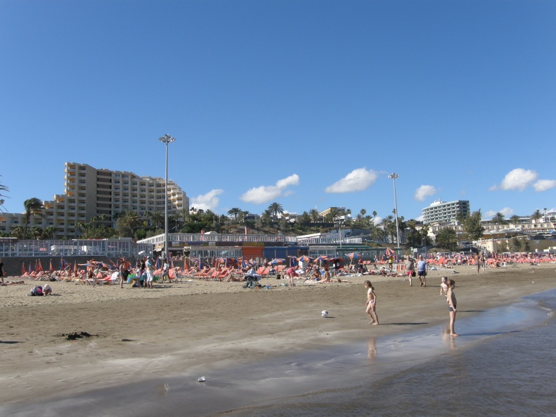 P3061422.jpg