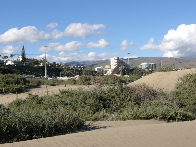 P3061436.jpg