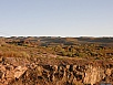 P2260012.jpg