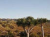 P2260028.jpg