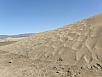 P2260084.jpg
