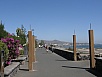 P2260130.jpg