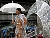P3051230.jpg