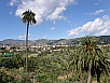 P3061340.jpg