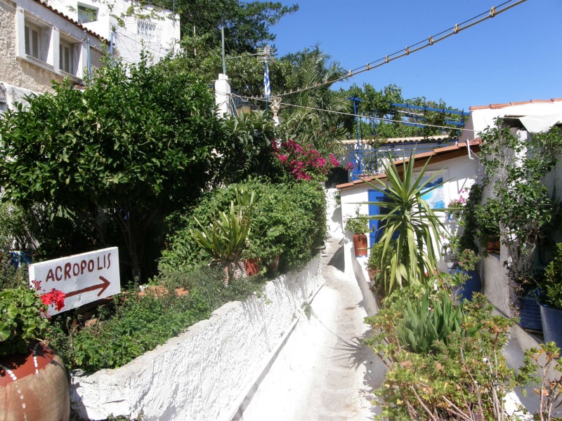 P7101188.jpg