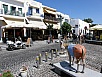 P7050125.jpg