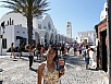 P7050129.jpg
