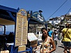 P7050159.jpg