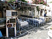P7070637.jpg