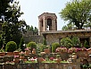 P7091083.jpg