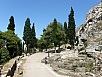 P7101299.jpg