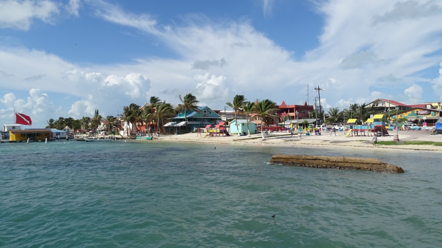 DSC05022.jpg