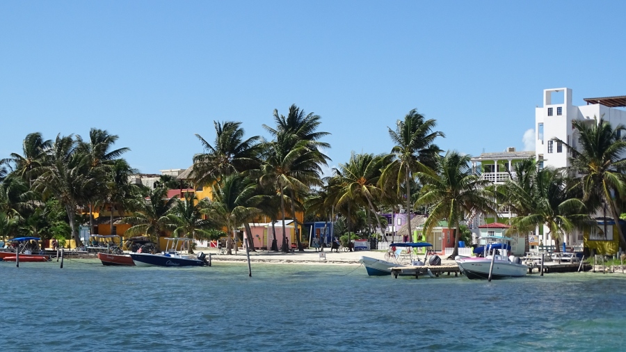 DSC05280.jpg