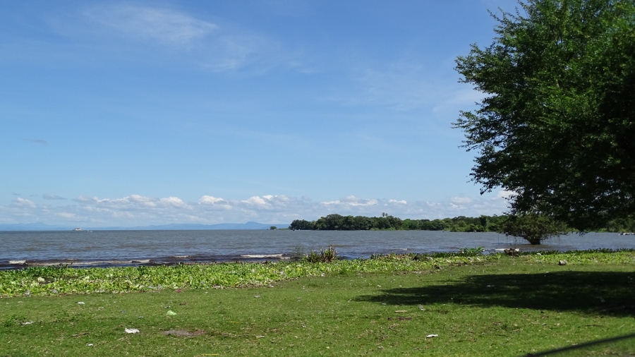 DSC06015.jpg