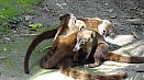 DSC04497.jpg