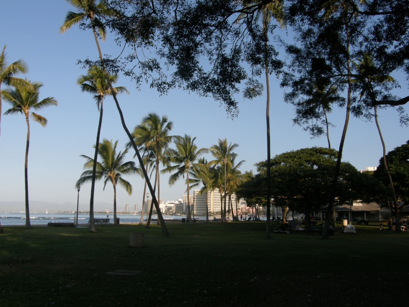 P2070239.jpg