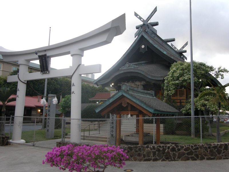 P2090553.jpg