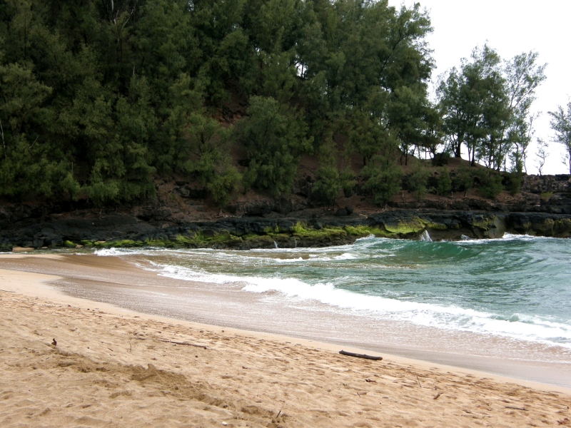 P2100690.jpg