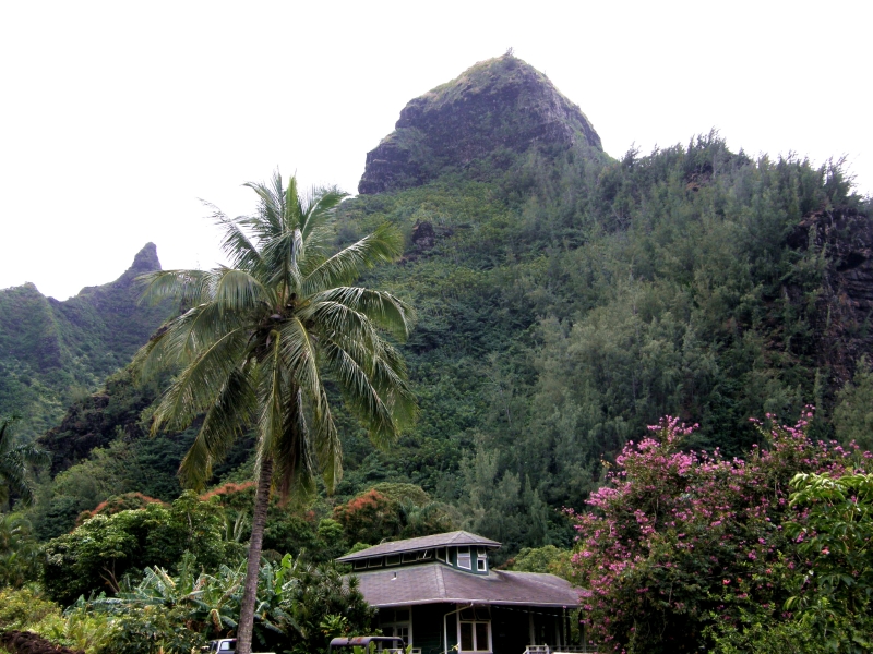 P2100697.jpg