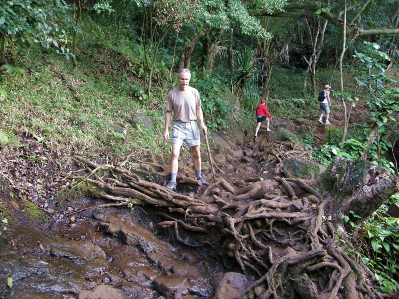 P2100709.jpg