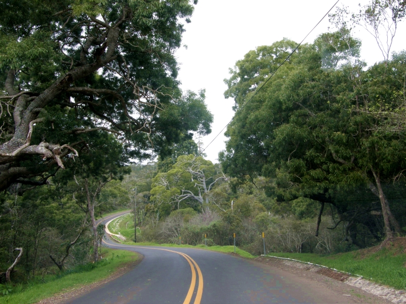 P2100846.jpg