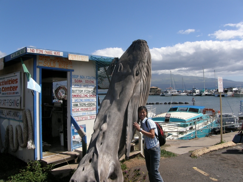 P2131204.jpg