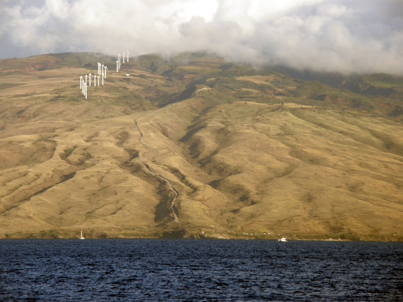 P2131356.jpg