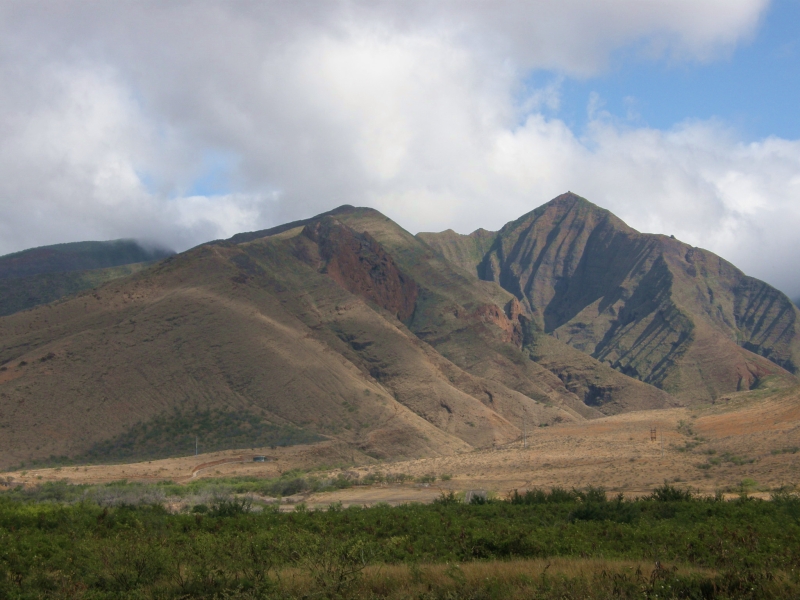 P2131374.jpg